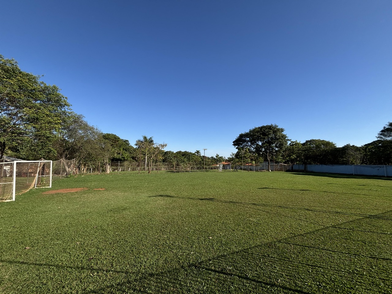 Campo